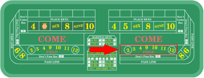 The field bet is only valid on a single roll of the dice.