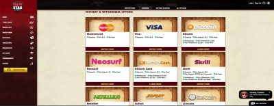 Red Stag Casino supports a wide variety of payment options